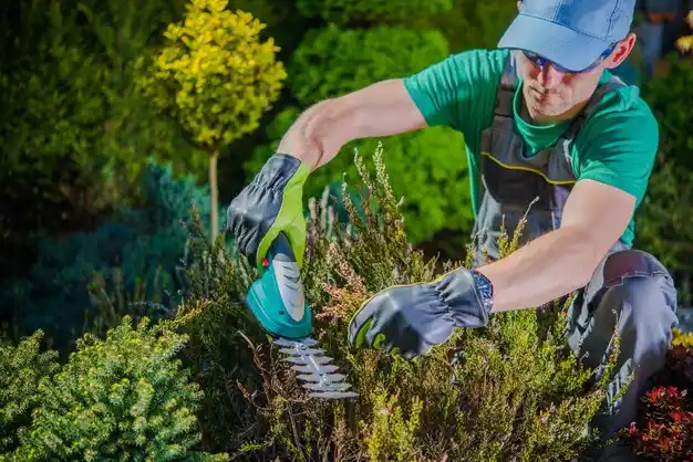 landscaping services Crooksville